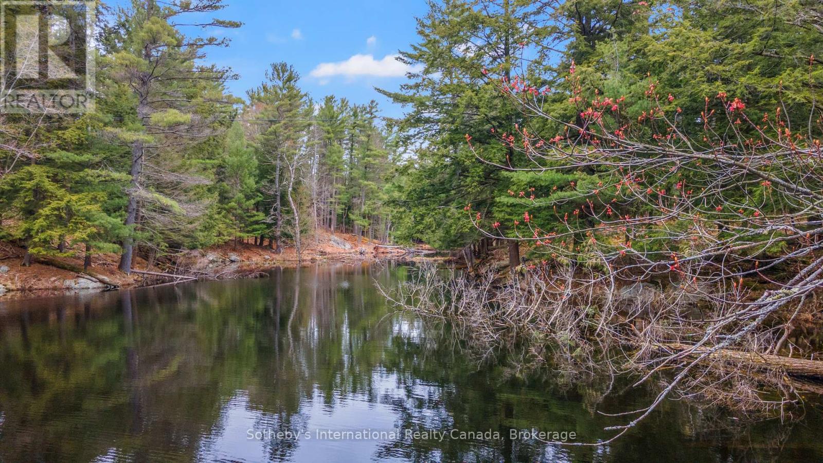 38 Sr405 Severn River, Muskoka Lakes, Ontario  L0K 1E0 - Photo 34 - X11976375