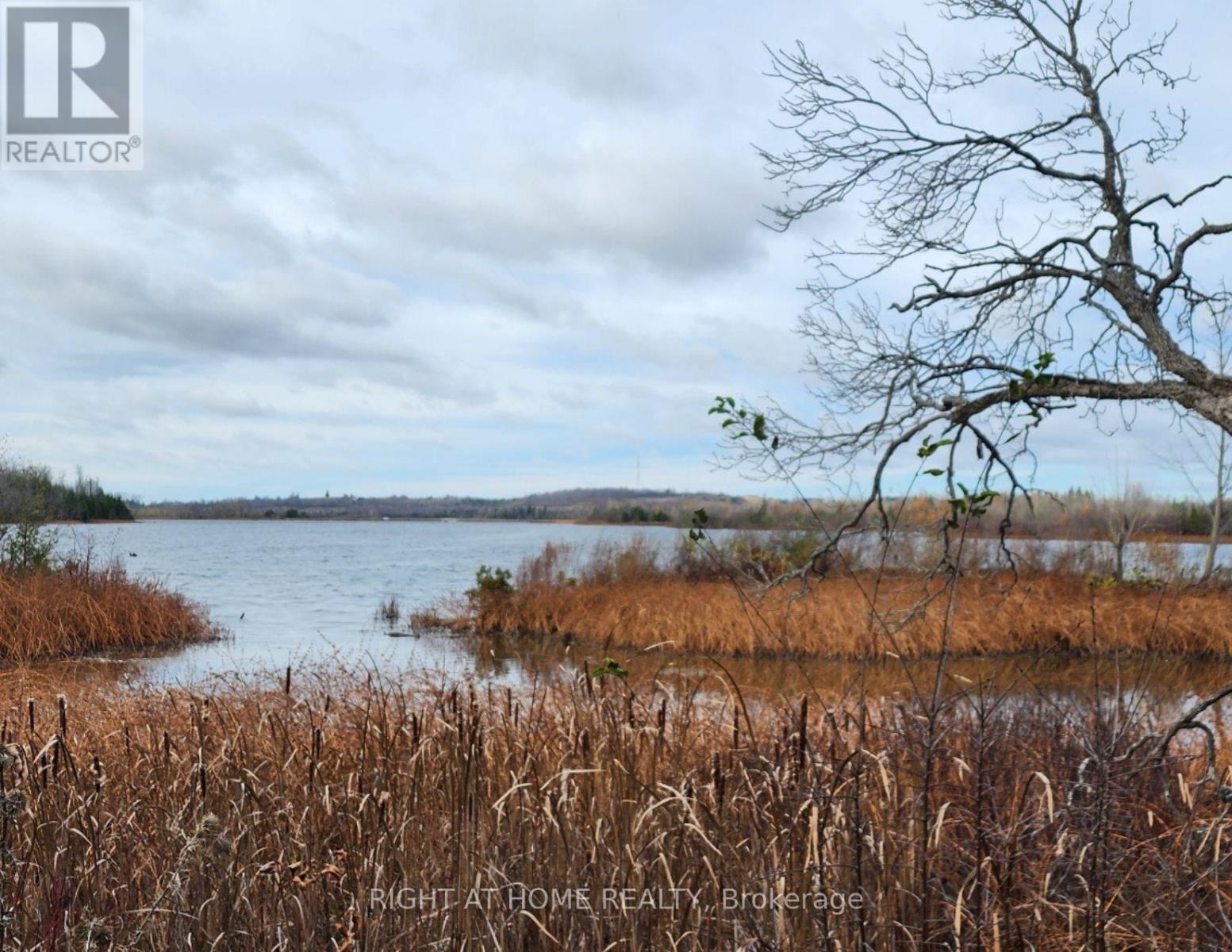 0 PARK DRIVE, Kawartha Lakes, Ontario