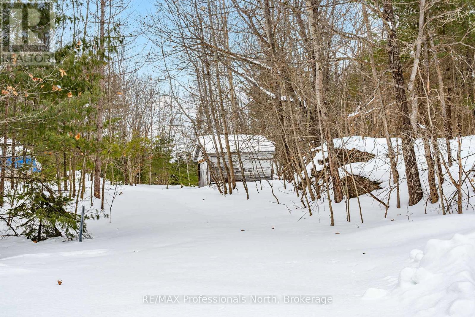 1119 Deep Bay Road, Minden Hills (Lutterworth), Ontario  K0M 2K0 - Photo 34 - X11976556