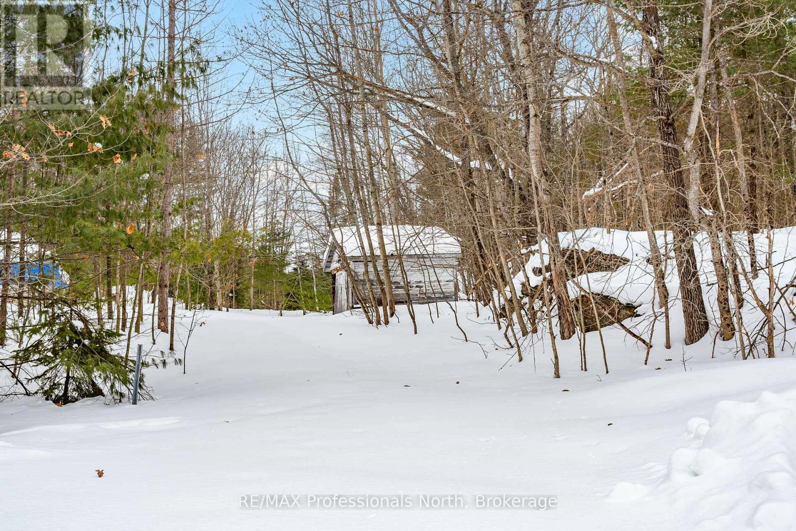 1119 Deep Bay Road, Minden Hills, Ontario  K0M 2K0 - Photo 35 - X11976556