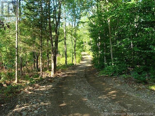 408 Route 540, Maxwell, New Brunswick  E7N 2M3 - Photo 4 - NB112766