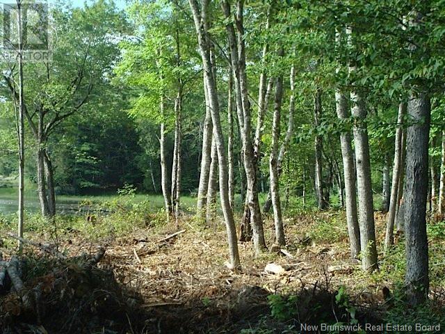 408 Route 540, Maxwell, New Brunswick  E7N 2M3 - Photo 5 - NB112766