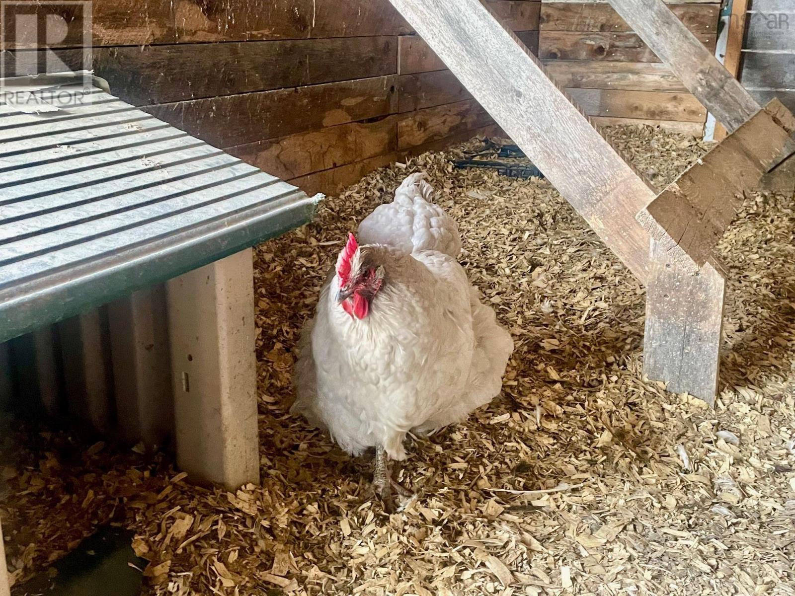 100 Old Northwest Road, Fauxburg, Nova Scotia  B0J 2C0 - Photo 43 - 202503095