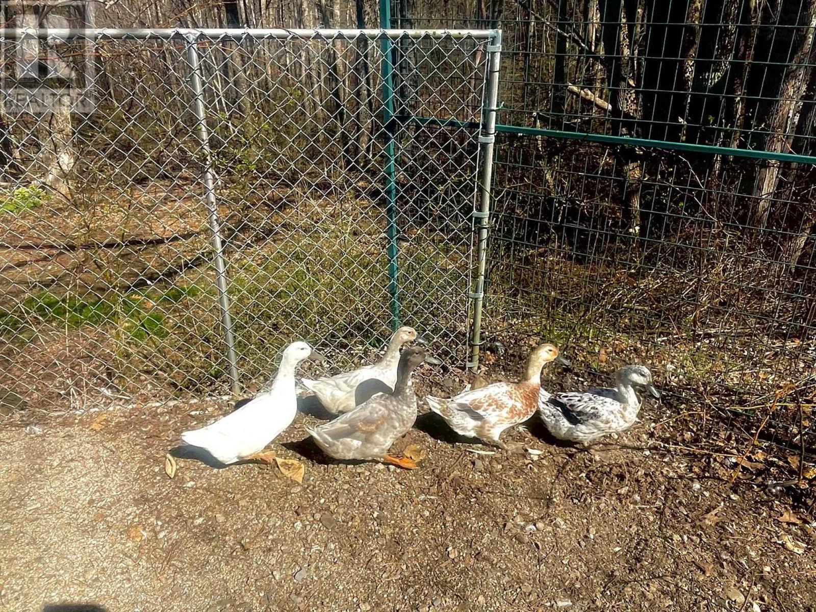 100 Old Northwest Road, Fauxburg, Nova Scotia  B0J 2C0 - Photo 44 - 202503095