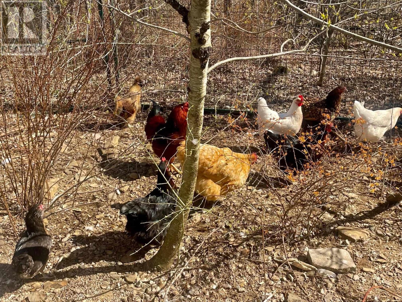 100 Old Northwest Road, Fauxburg, Nova Scotia  B0J 2C0 - Photo 45 - 202503095