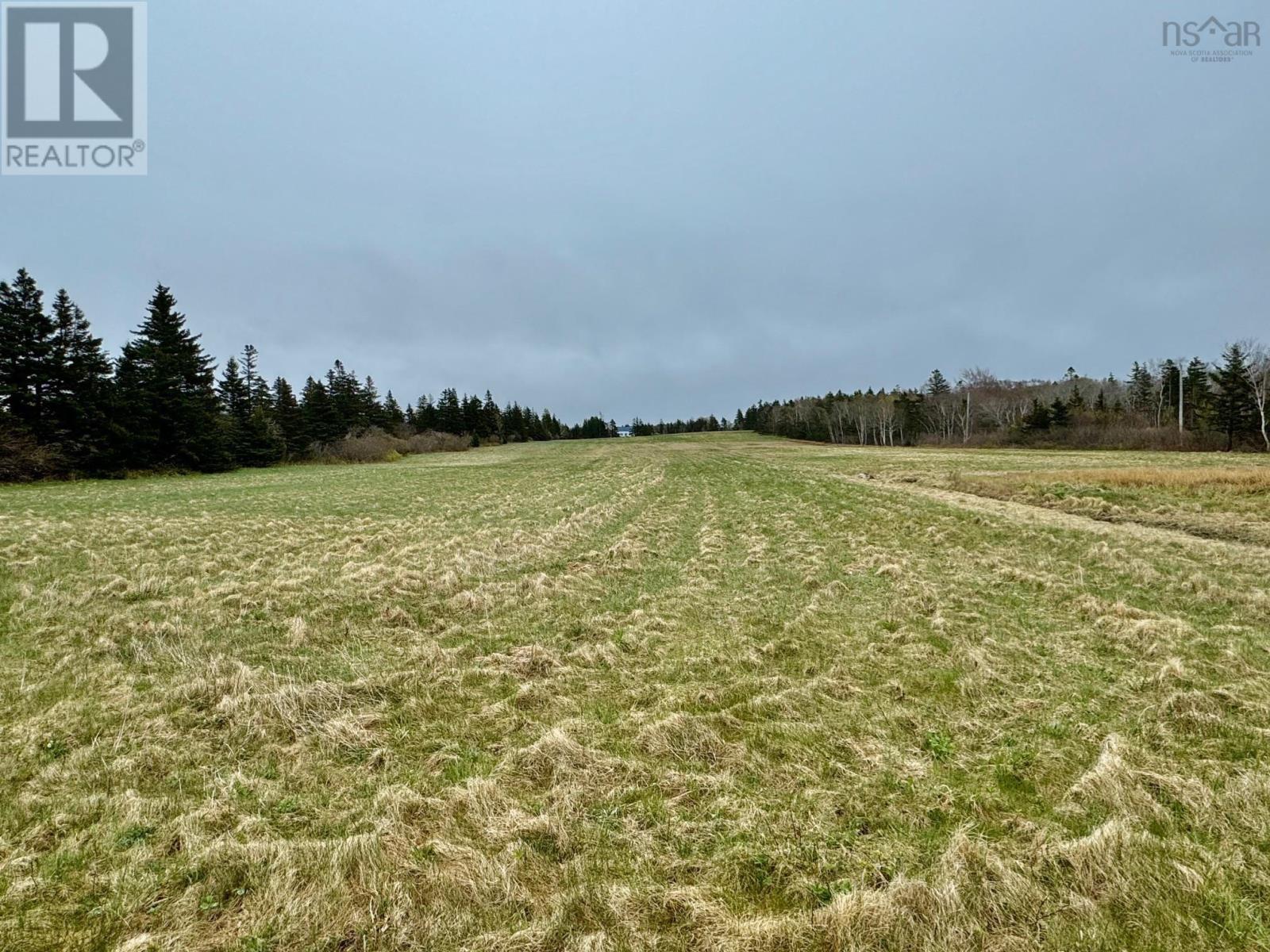 Lot Fort Point Road, Weymouth North, Nova Scotia  B0W 3T0 - Photo 16 - 202503110