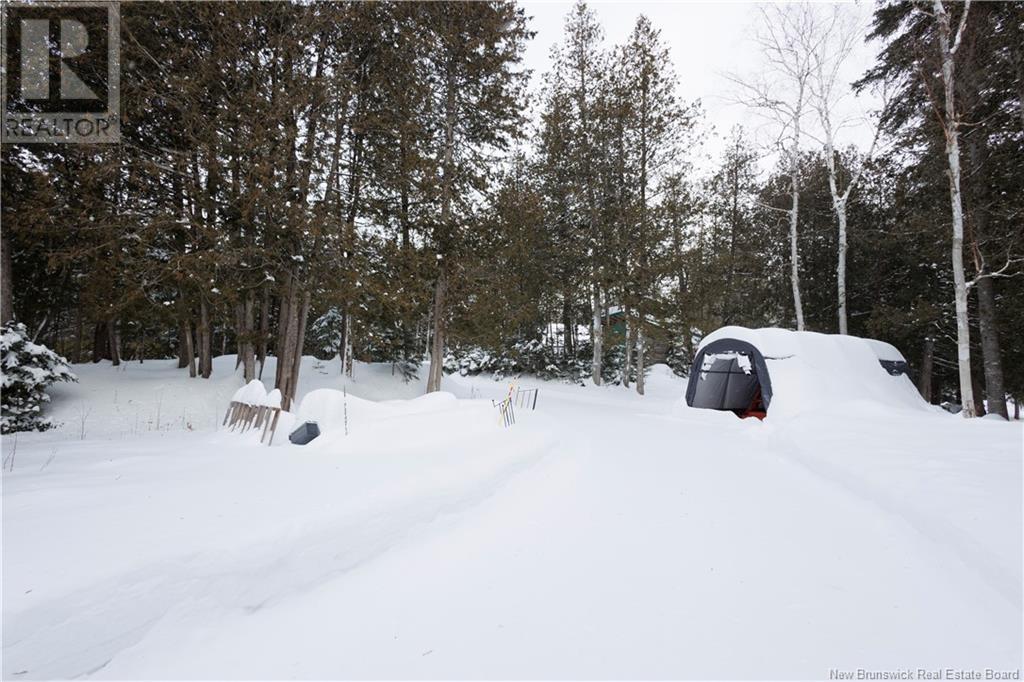 65 Thomas Road, Dsl De Drummond/dsl Of Drummond, New Brunswick  E3Y 2N6 - Photo 39 - NB112755