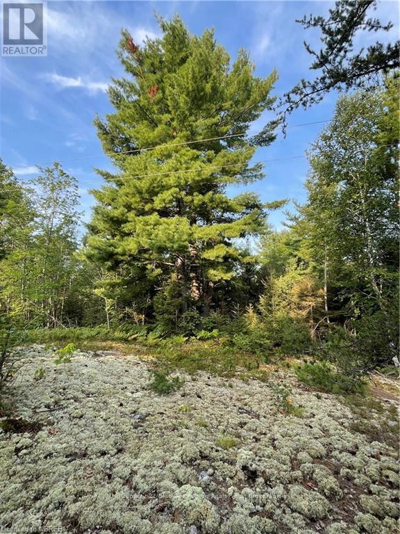 Part Lot 2 Leduc Road, West Nipissing, Ontario  P0H 1M0 - Photo 11 - X10709083