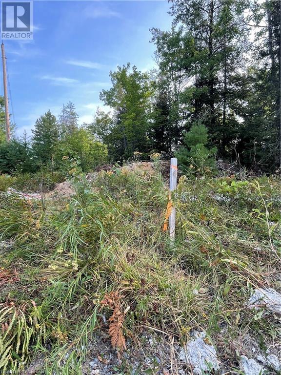 Part Lot 2 Leduc Road, West Nipissing, Ontario  P0H 1M0 - Photo 3 - X10709083