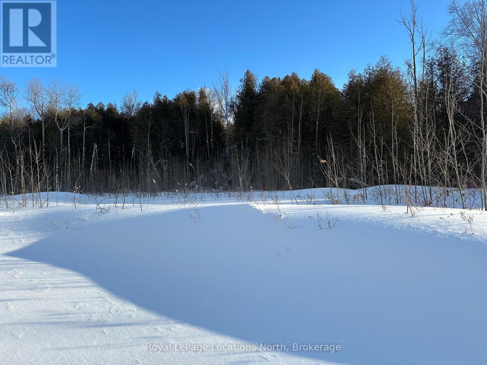 111 Pheasant Run, Blue Mountains, Ontario  N0H 2P0 - Photo 2 - X11977523