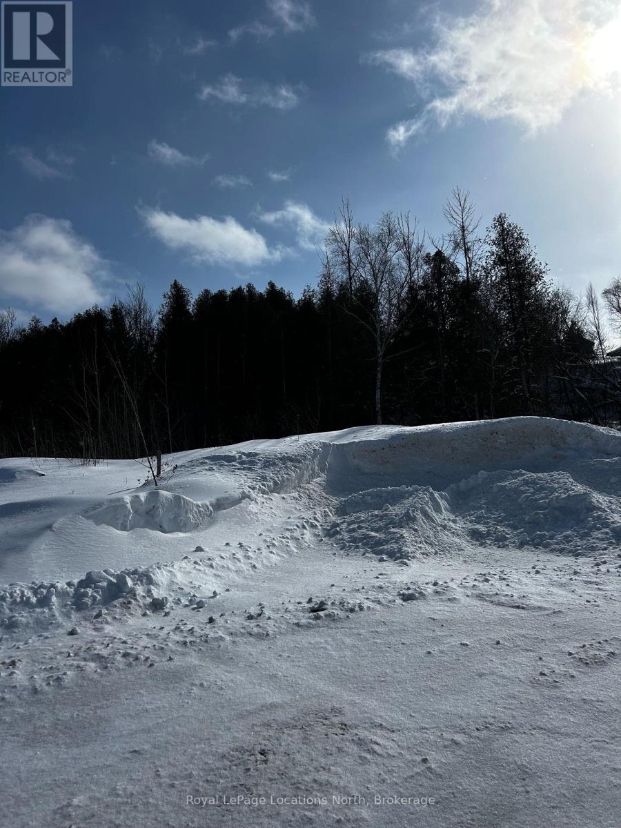 111 Pheasant Run, Blue Mountains, Ontario  N0H 2P0 - Photo 3 - X11977523
