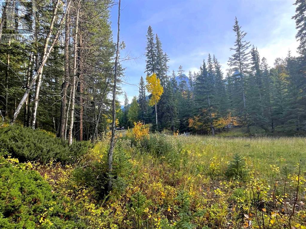 142 Cairns Landing, Canmore, Alberta  T1W 3J9 - Photo 7 - A2171013