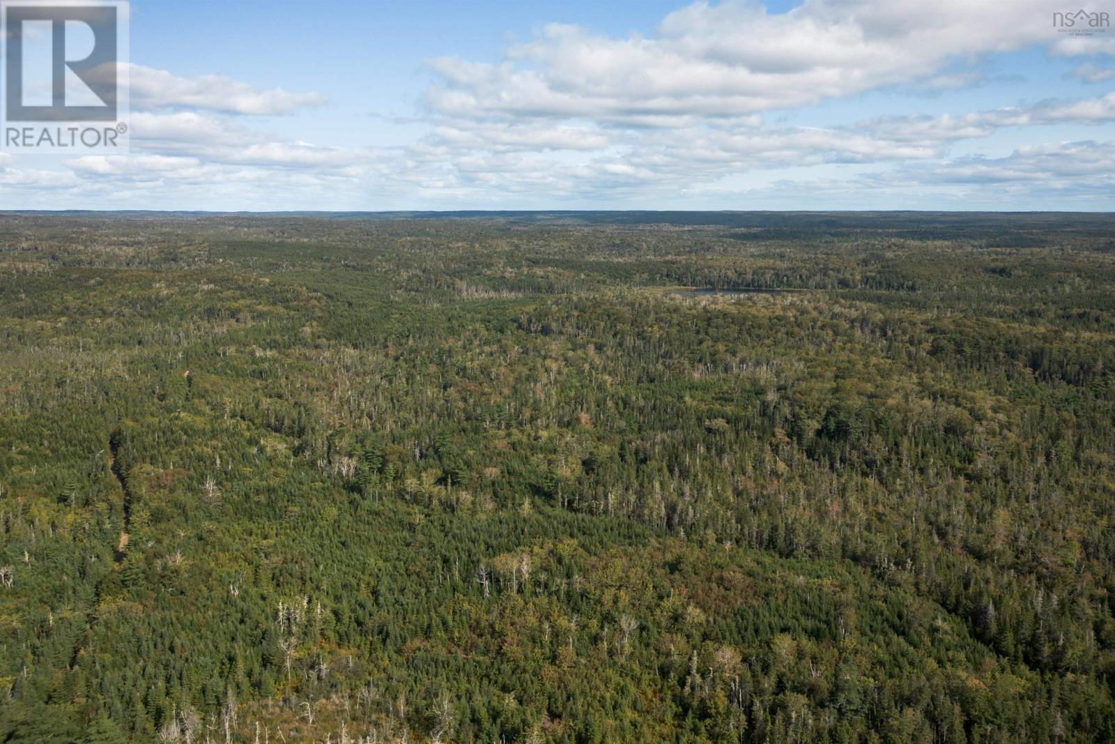 166 Acres 344 Highway, Manassette Lake, Nova Scotia  B0E 2G0 - Photo 11 - 202503135