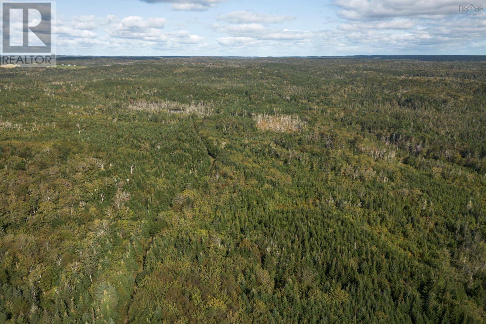 166 Acres 344 Highway, Manassette Lake, Nova Scotia  B0E 2G0 - Photo 13 - 202503135
