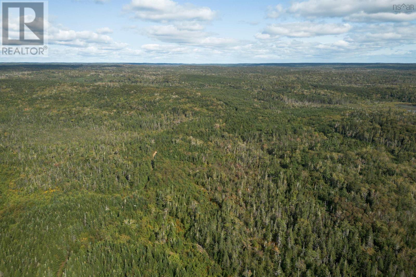 166 Acres 344 Highway, Manassette Lake, Nova Scotia  B0E 2G0 - Photo 16 - 202503135