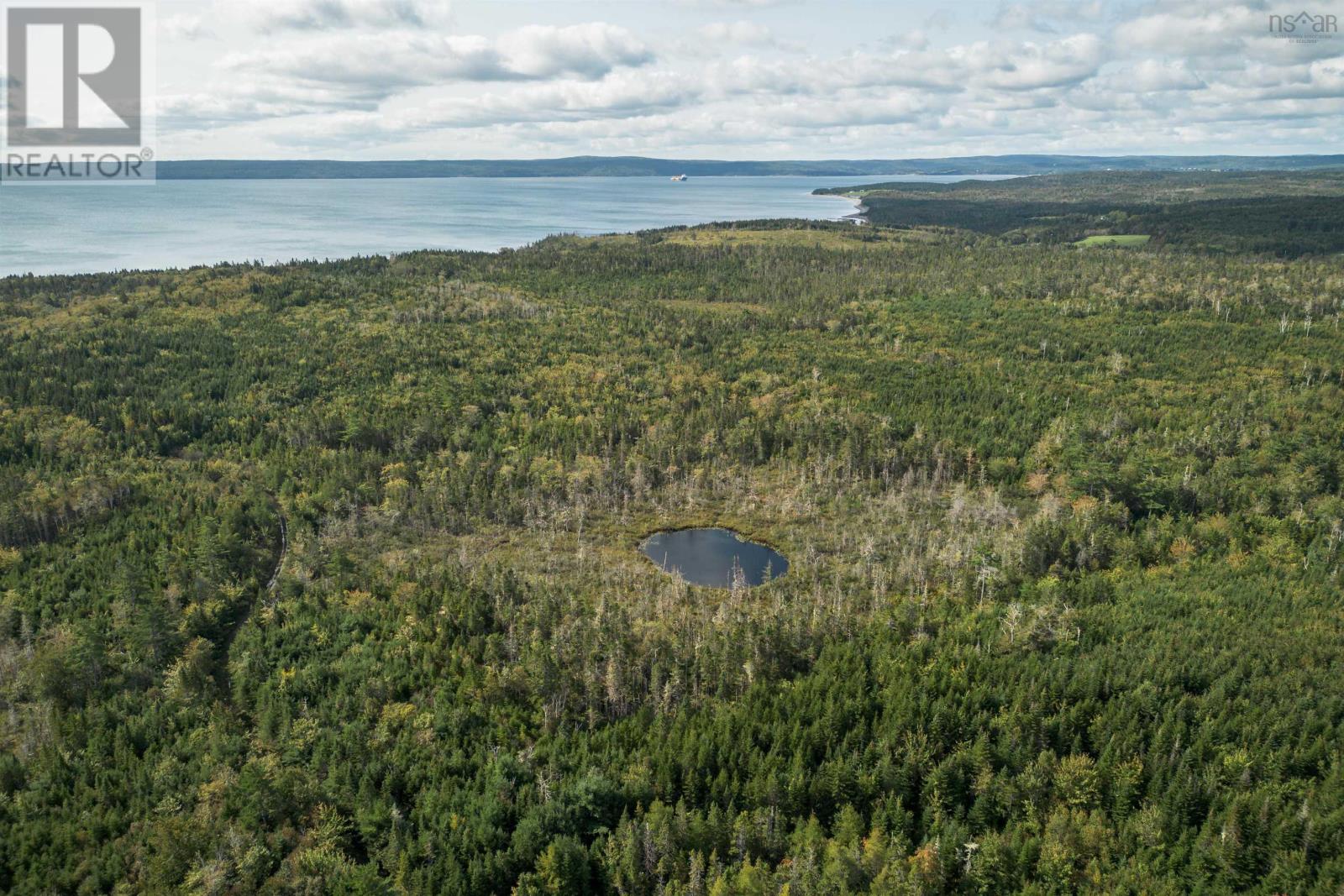 166 Acres 344 Highway, Manassette Lake, Nova Scotia  B0E 2G0 - Photo 6 - 202503135