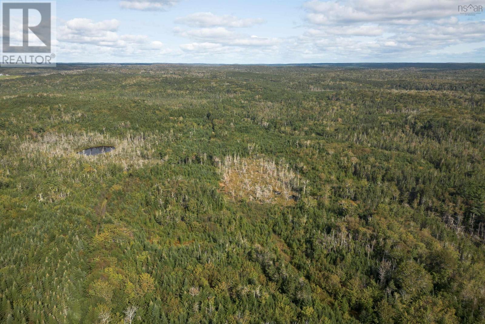 166 Acres 344 Highway, Manassette Lake, Nova Scotia  B0E 2G0 - Photo 7 - 202503135
