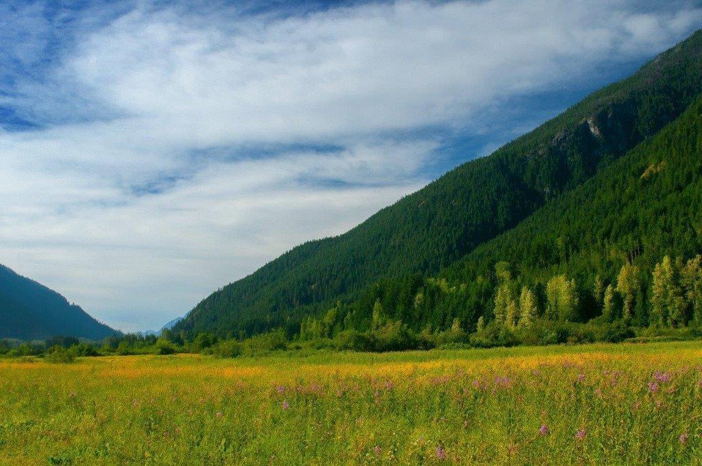 Sve24 Old Hope Princeton Highway, Sunshine Valley, Sunshine Valley, British Columbia  V0X 1L5 - Photo 22 - R2967466