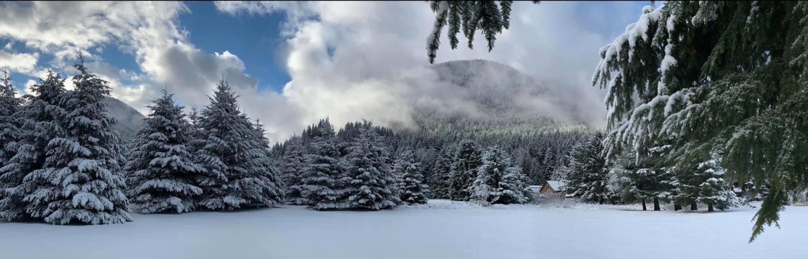 Sve24 Old Hope Princeton Highway, Sunshine Valley, Sunshine Valley, British Columbia  V0X 1L5 - Photo 27 - R2967466