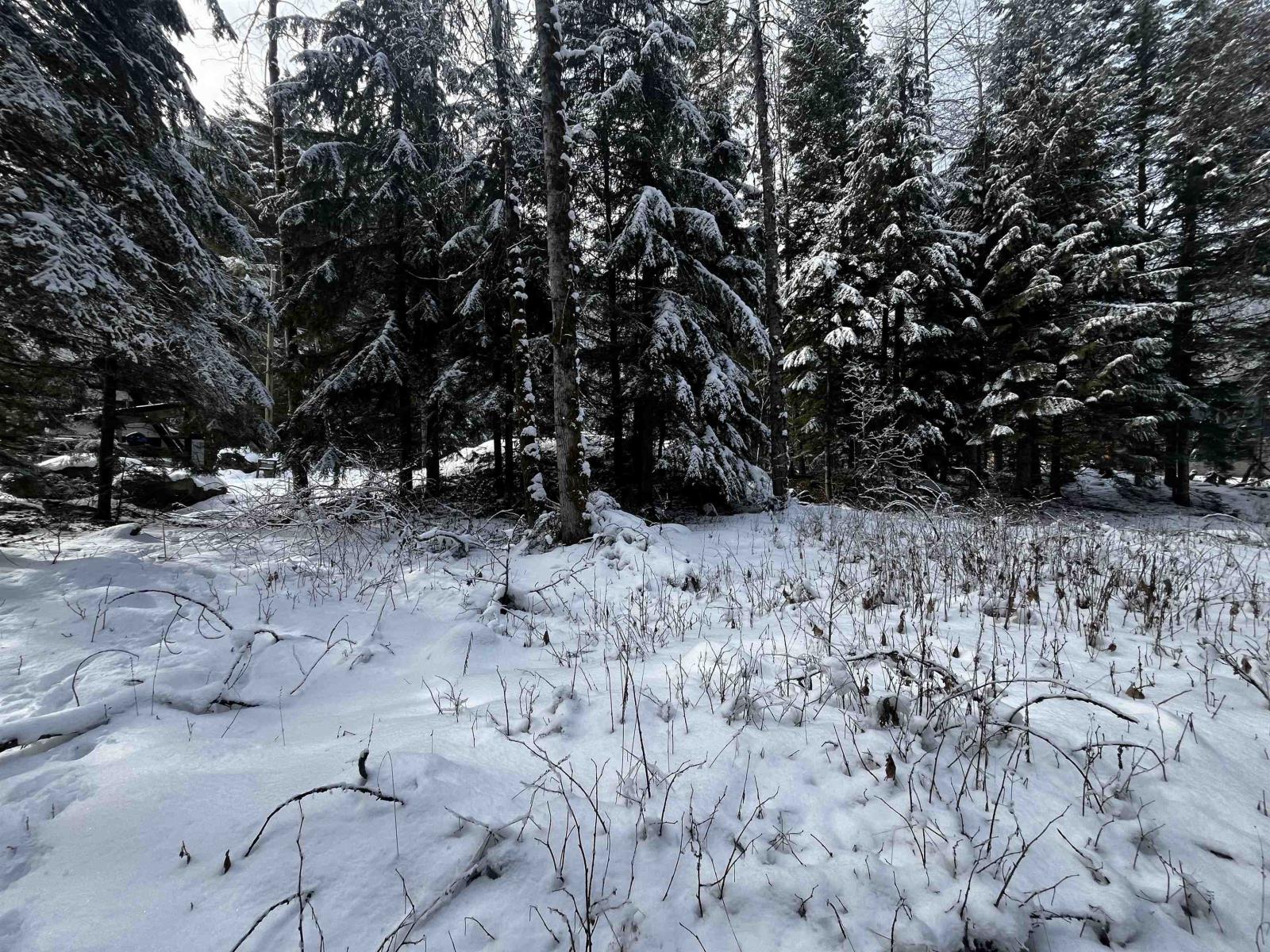 Sve24 Old Hope Princeton Highway, Sunshine Valley, Sunshine Valley, British Columbia  V0X 1L5 - Photo 3 - R2967466