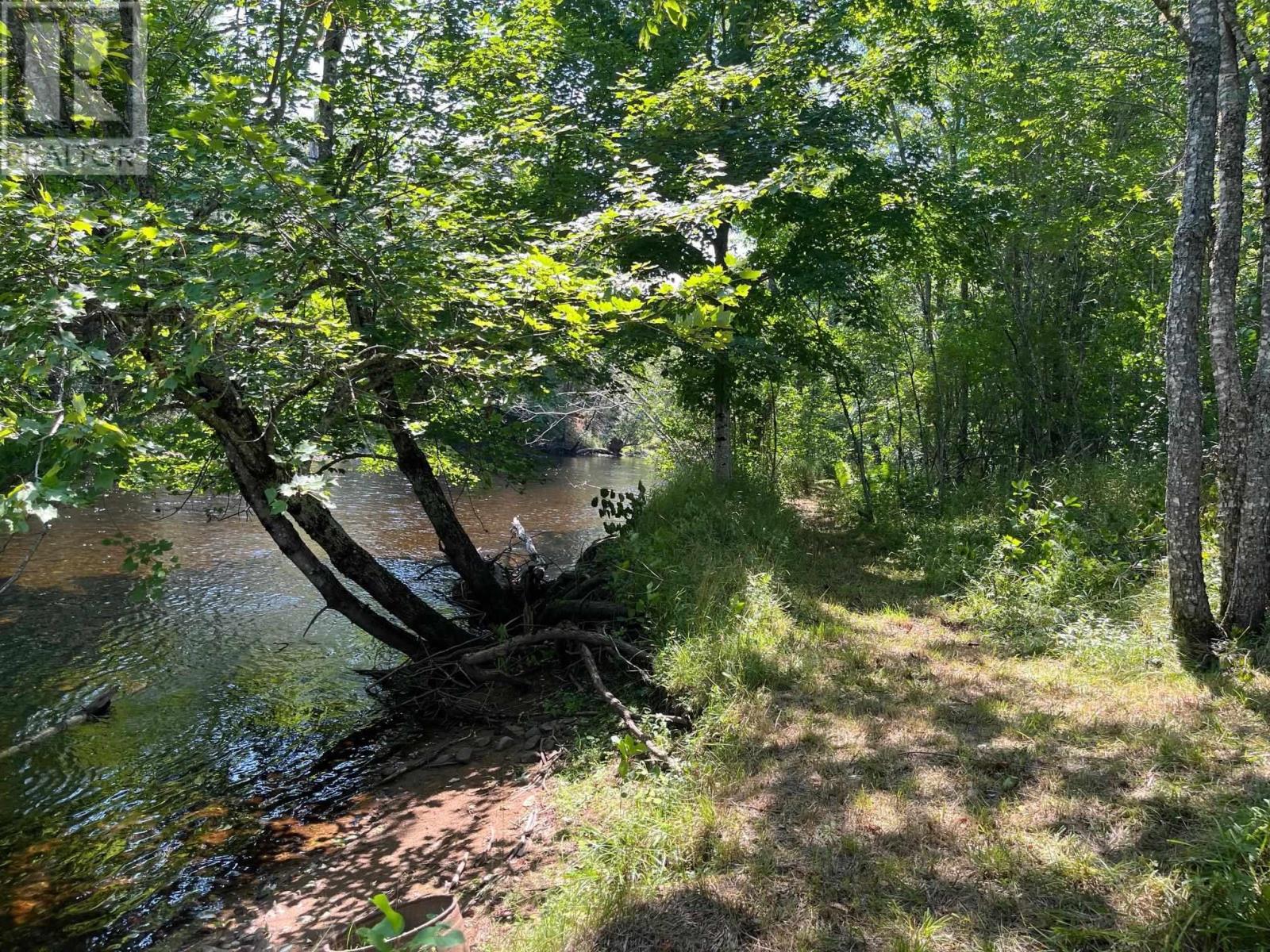 Lot 24-2 Mckeen Road, Watford, Nova Scotia  B0R 1E0 - Photo 11 - 202503146