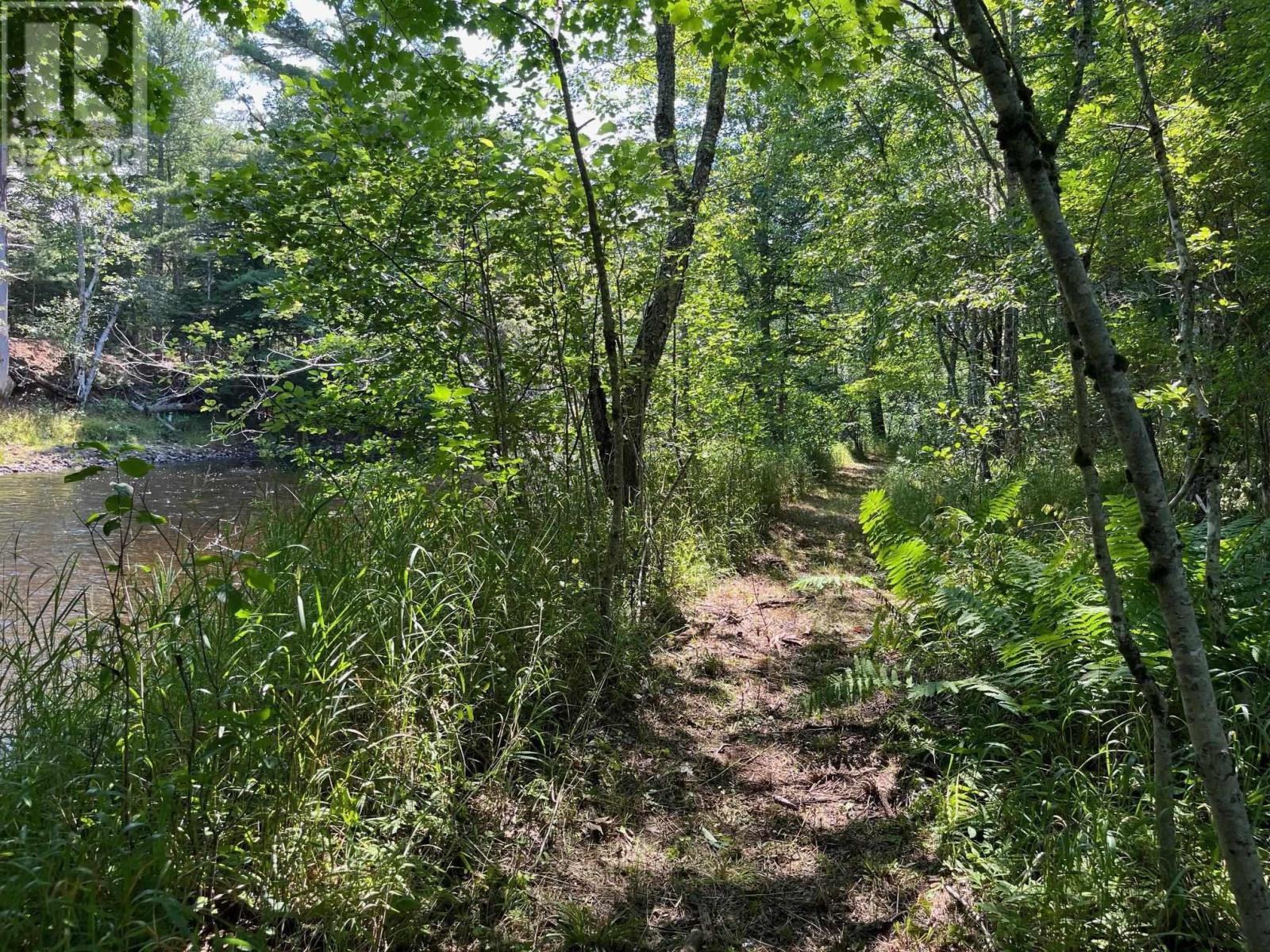 Lot 24-2 Mckeen Road, Watford, Nova Scotia  B0R 1E0 - Photo 14 - 202503146