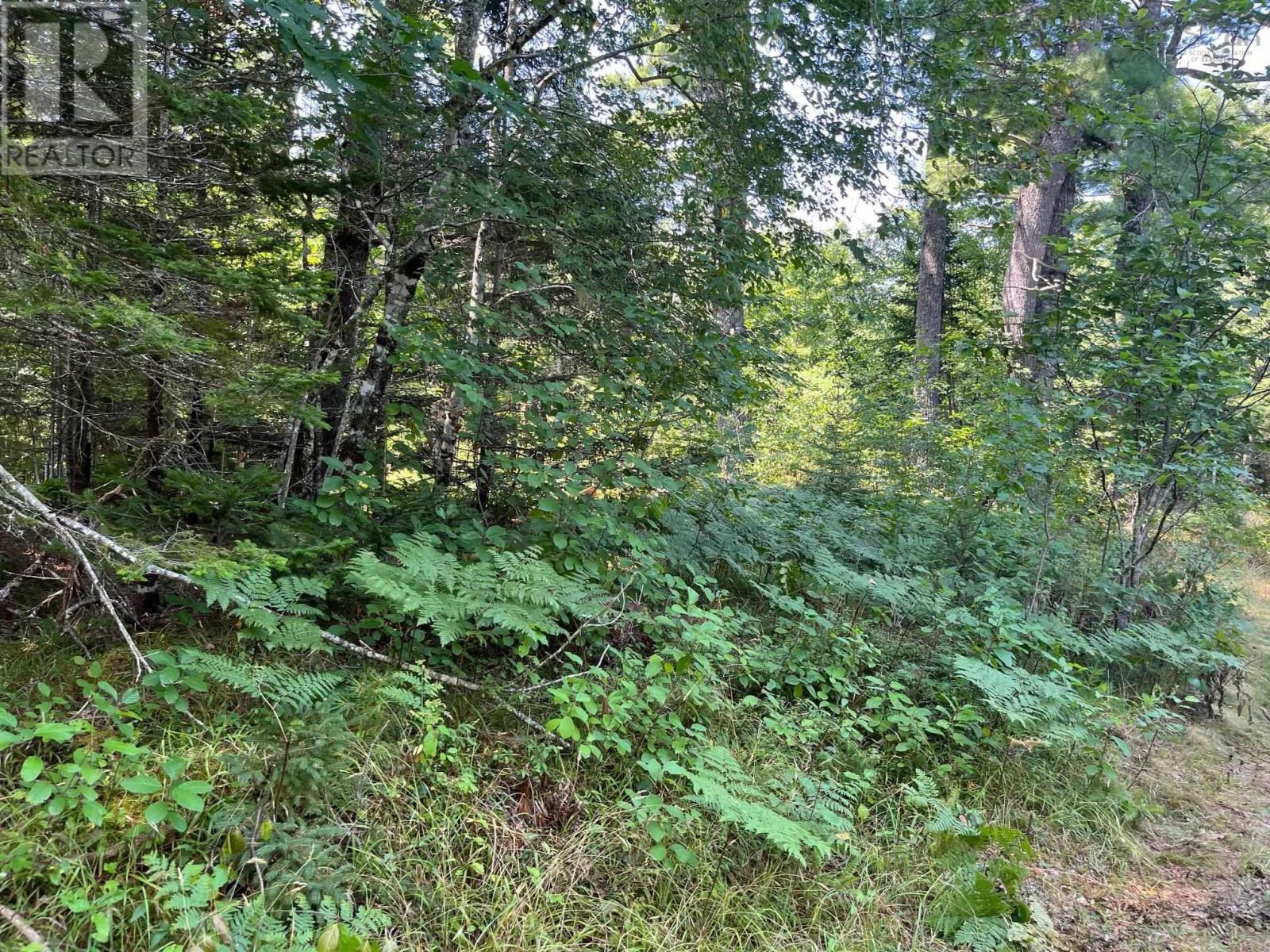 Lot 24-2 Mckeen Road, Watford, Nova Scotia  B0R 1E0 - Photo 27 - 202503146