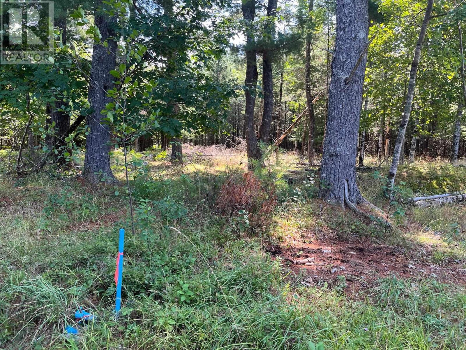 Lot 24-2 Mckeen Road, Watford, Nova Scotia  B0R 1E0 - Photo 29 - 202503146