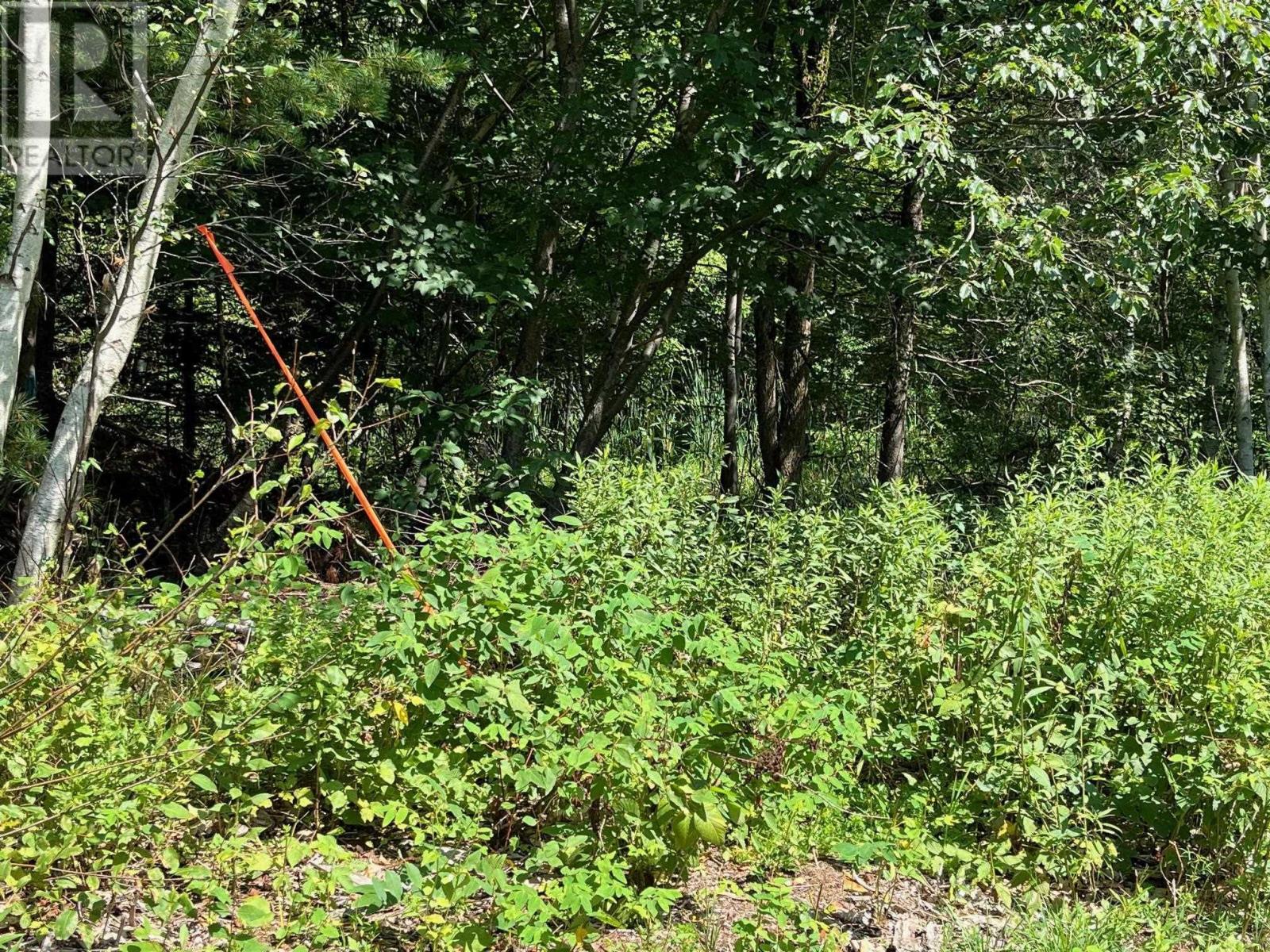 Lot 24-2 Mckeen Road, Watford, Nova Scotia  B0R 1E0 - Photo 30 - 202503146