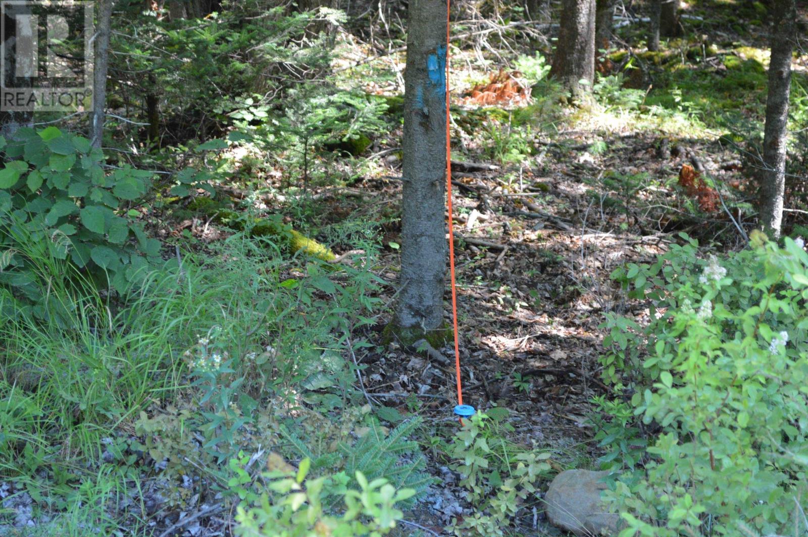 Lot 24-2 Mckeen Road, Watford, Nova Scotia  B0R 1E0 - Photo 36 - 202503146