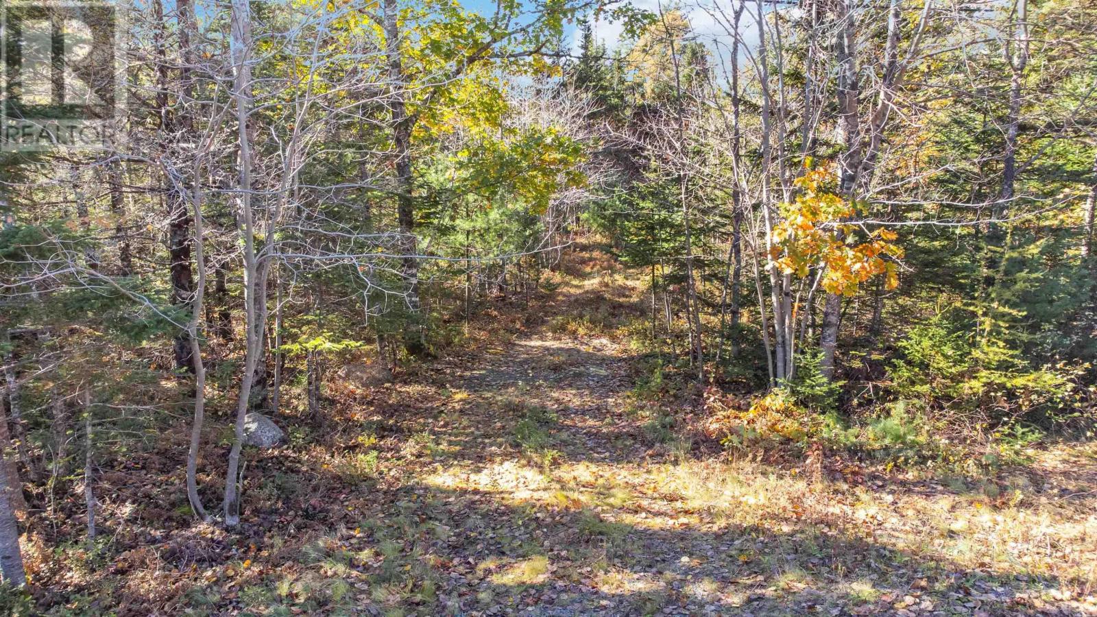 Highway 208, Simpsons Corner, Nova Scotia  B0R 1E0 - Photo 10 - 202503158