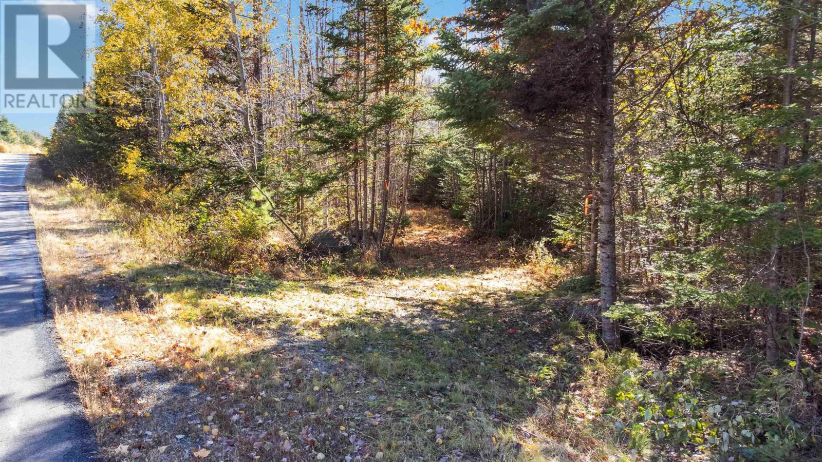 Highway 208, Simpsons Corner, Nova Scotia  B0R 1E0 - Photo 12 - 202503158