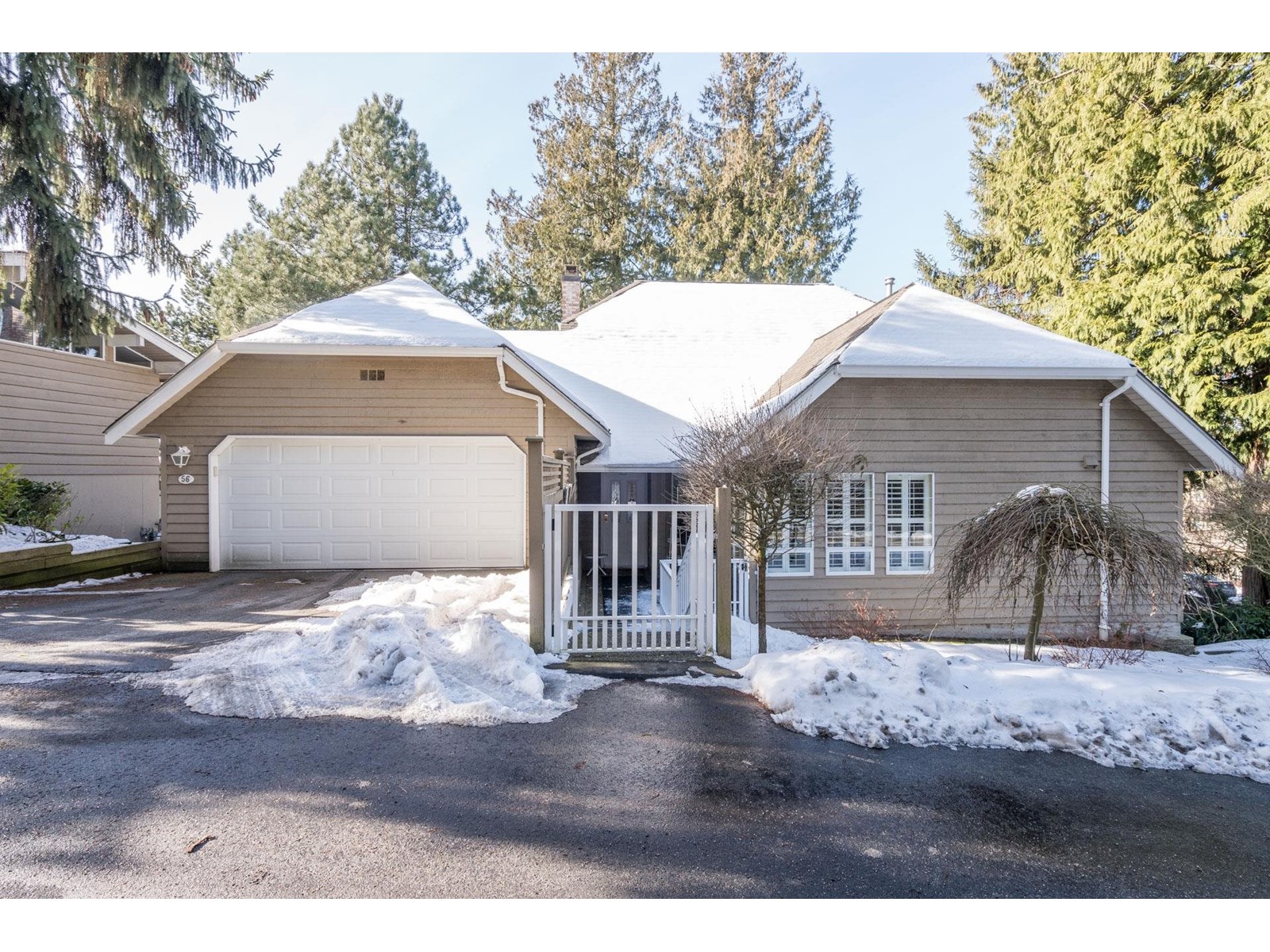56 21848 50 Avenue, Langley, British Columbia  V3A 8A9 - Photo 1 - R2966805