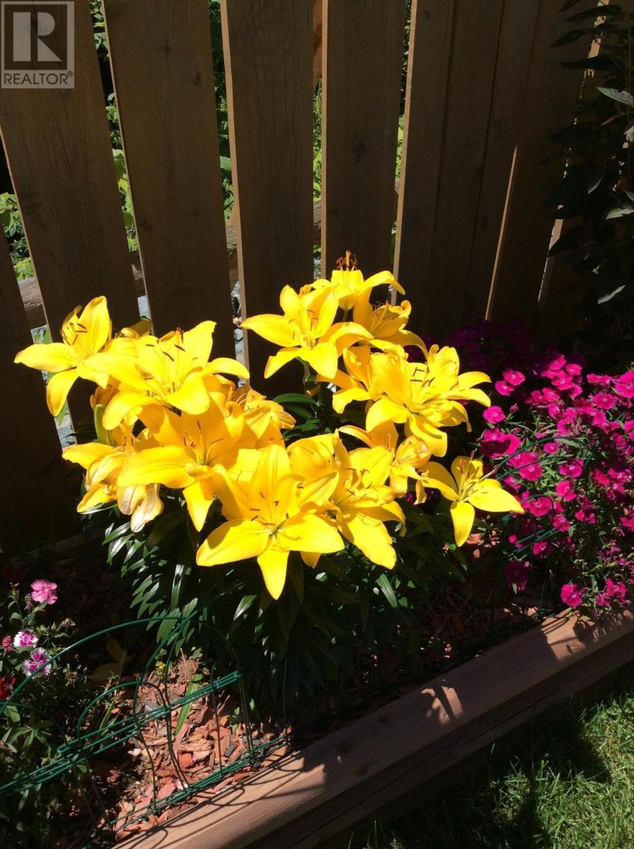 265 Haven Drive, Bridgewater, Nova Scotia  B4V 4E4 - Photo 30 - 202503051