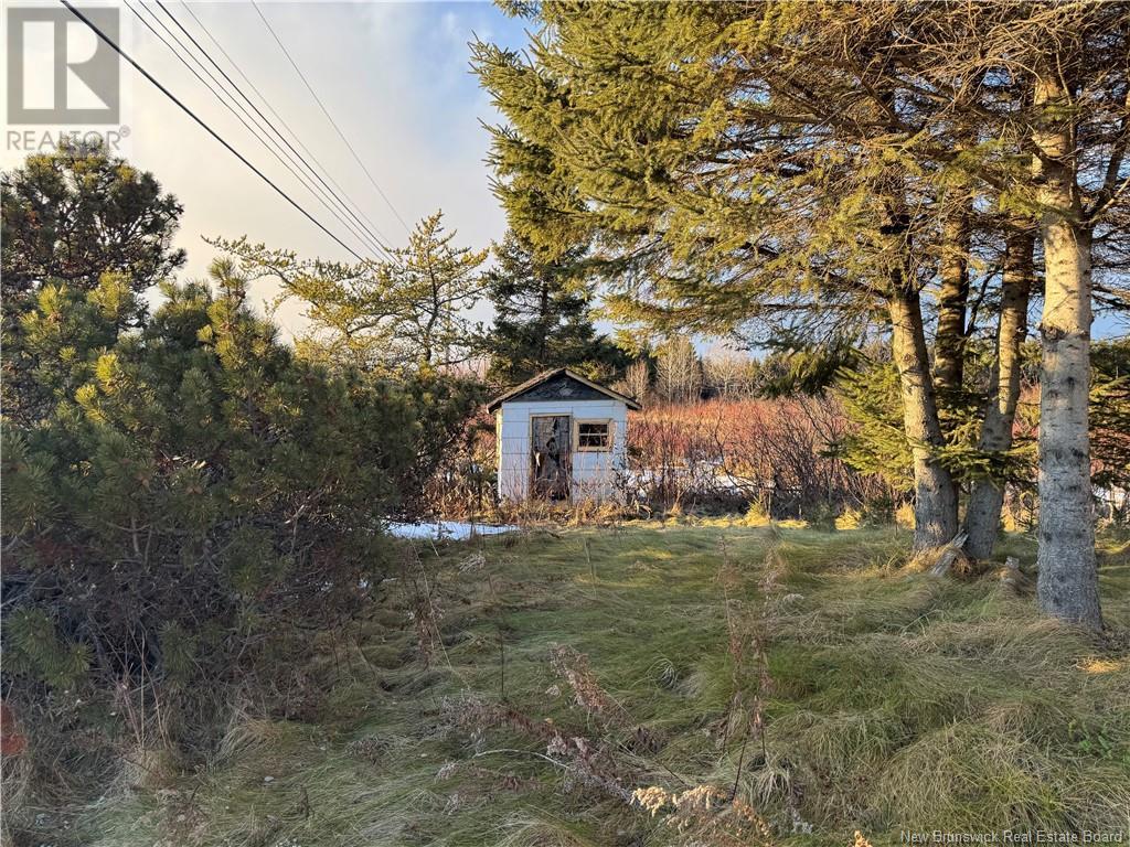 Property at 13341 Route 144 image