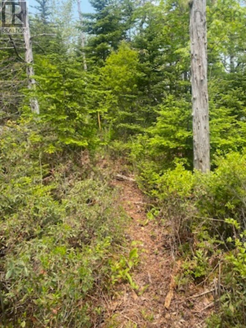 125 Brans Way, Williamswood, Nova Scotia  B3V 1T1 - Photo 13 - 202503193