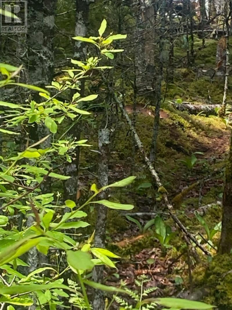 125 Brans Way, Williamswood, Nova Scotia  B3V 1T1 - Photo 14 - 202503193