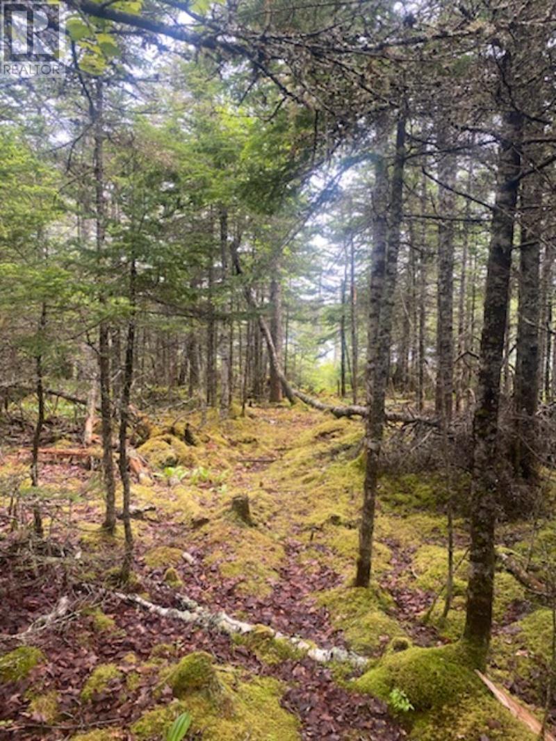 125 Brans Way, Williamswood, Nova Scotia  B3V 1T1 - Photo 16 - 202503193