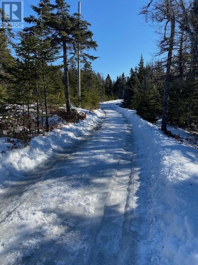 125 Brans Way, Williamswood, Nova Scotia  B3V 1T1 - Photo 34 - 202503193