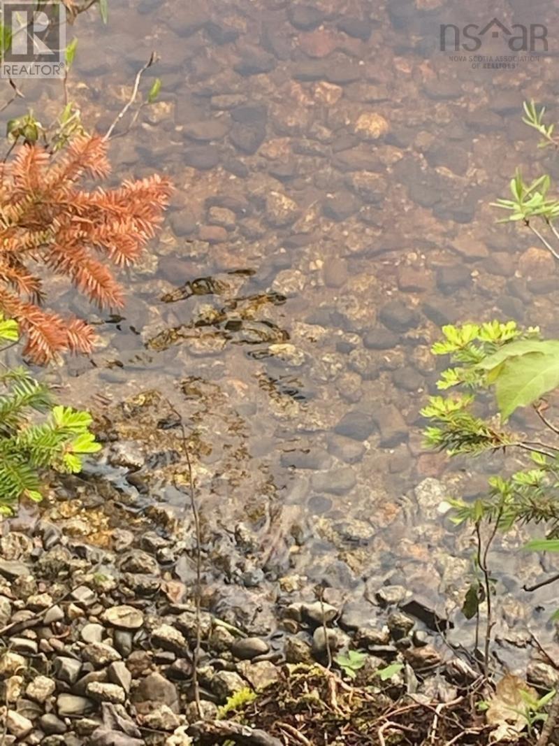 125 Brans Way, Williamswood, Nova Scotia  B3V 1T1 - Photo 8 - 202503193