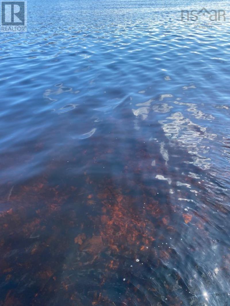 125 Brans Way, Williamswood, Nova Scotia  B3V 1T1 - Photo 9 - 202503193