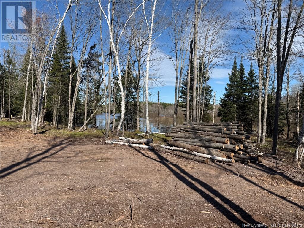 Lot 04-3 Route 690, Flowers Cove, New Brunswick  E4B 2E6 - Photo 14 - NB112804
