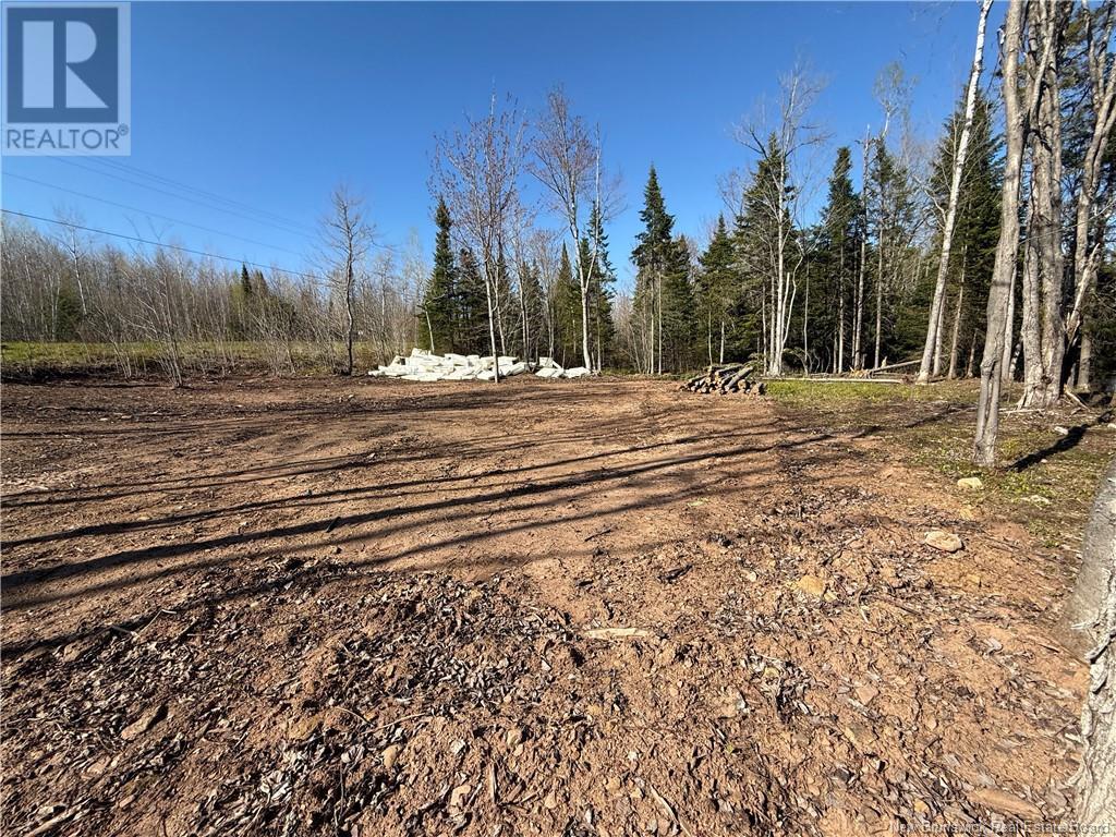Lot 04-3 Route 690, Flowers Cove, New Brunswick  E4B 2E6 - Photo 17 - NB112804