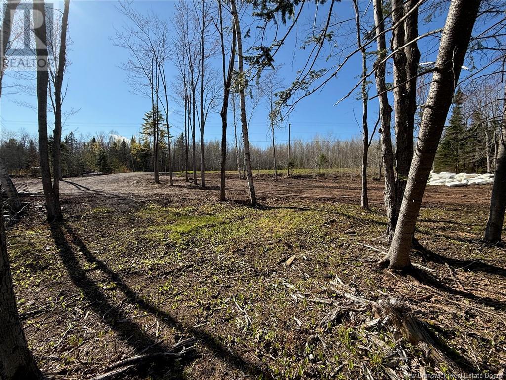 Lot 04-3 Route 690, Flowers Cove, New Brunswick  E4B 2E6 - Photo 18 - NB112804