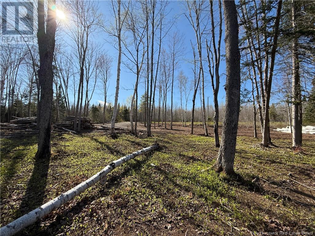 Lot 04-3 Route 690, Flowers Cove, New Brunswick  E4B 2E6 - Photo 20 - NB112804