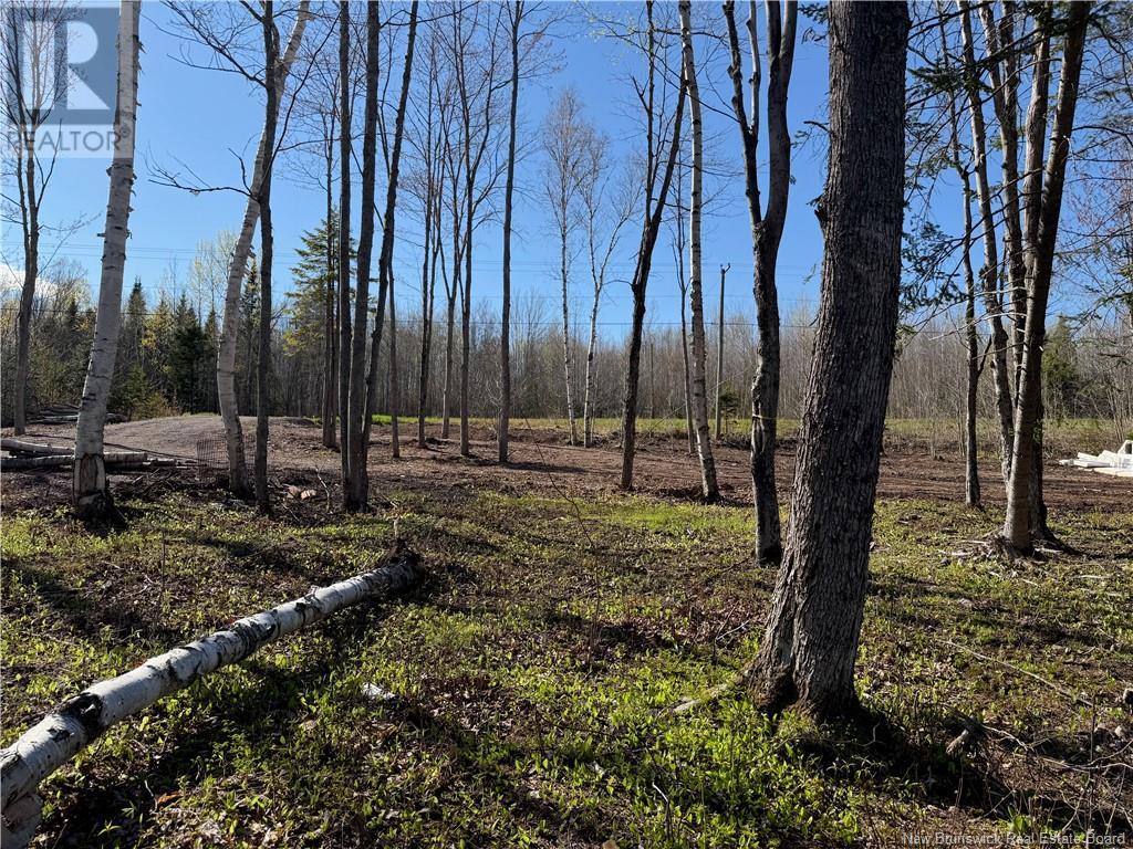 Lot 04-3 Route 690, Flowers Cove, New Brunswick  E4B 2E6 - Photo 21 - NB112804