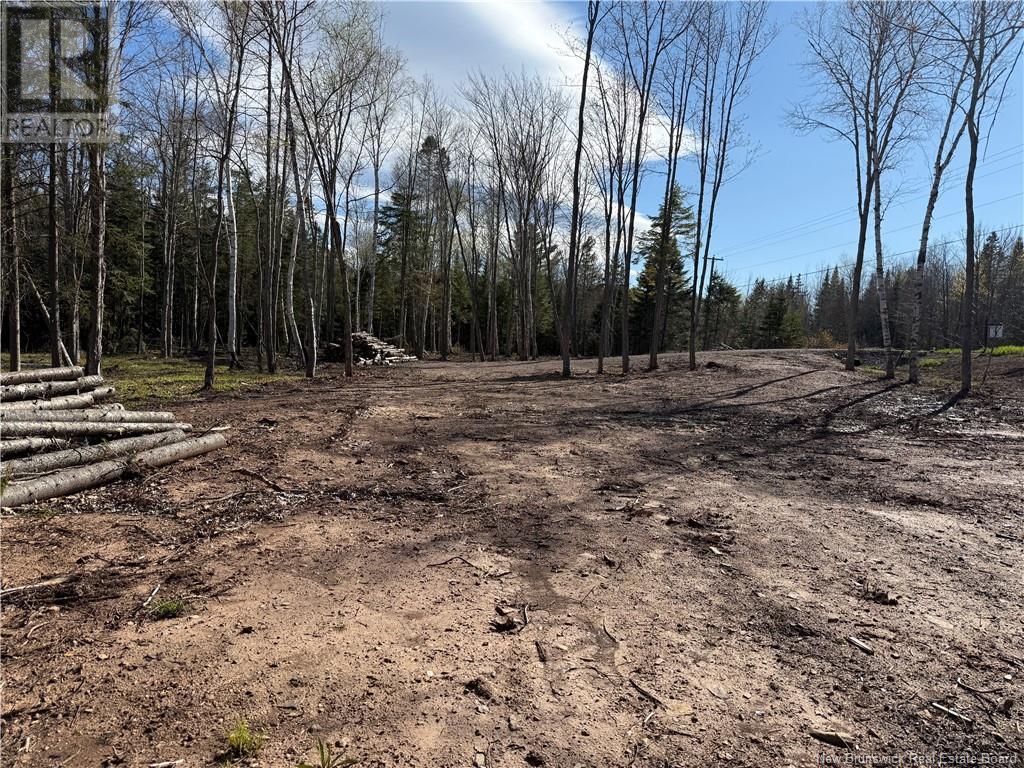 Lot 04-3 Route 690, Flowers Cove, New Brunswick  E4B 2E6 - Photo 22 - NB112804