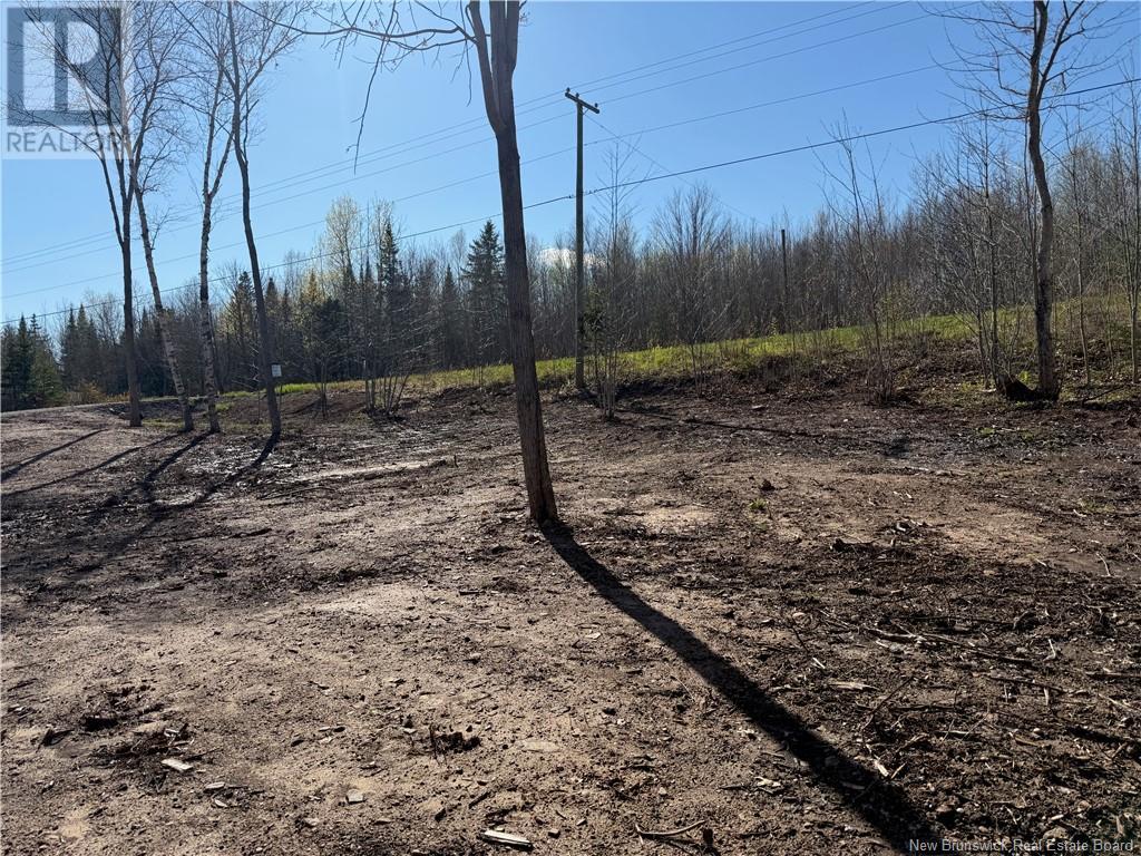 Lot 04-3 Route 690, Flowers Cove, New Brunswick  E4B 2E6 - Photo 23 - NB112804
