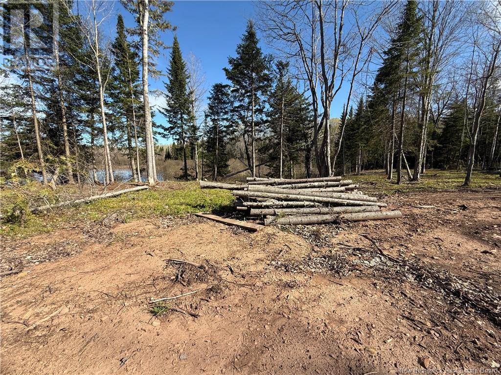 Lot 04-3 Route 690, Flowers Cove, New Brunswick  E4B 2E6 - Photo 24 - NB112804