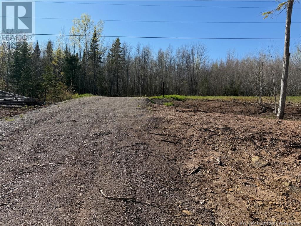 Lot 04-3 Route 690, Flowers Cove, New Brunswick  E4B 2E6 - Photo 25 - NB112804